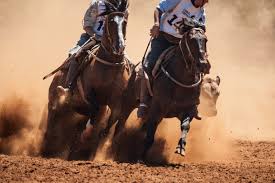 Western Horse Riding